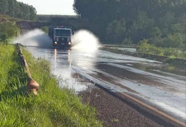 WhatsApp Image 2023-11-20 at 10.12.59