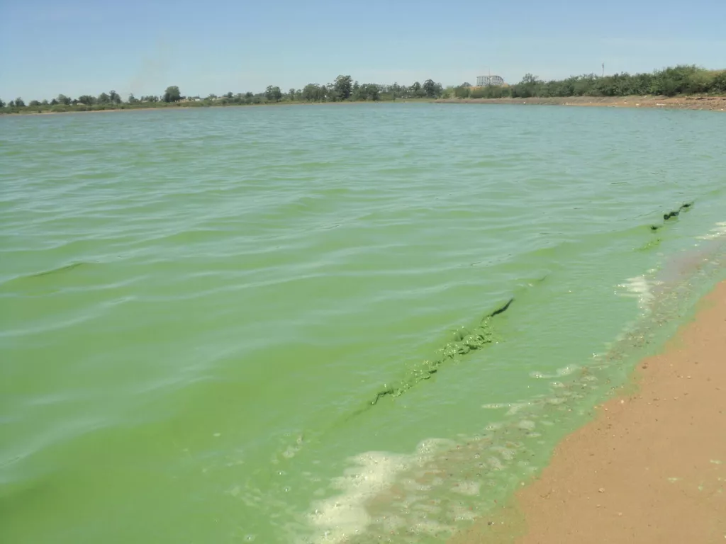 Diseno-sin-titulo-65