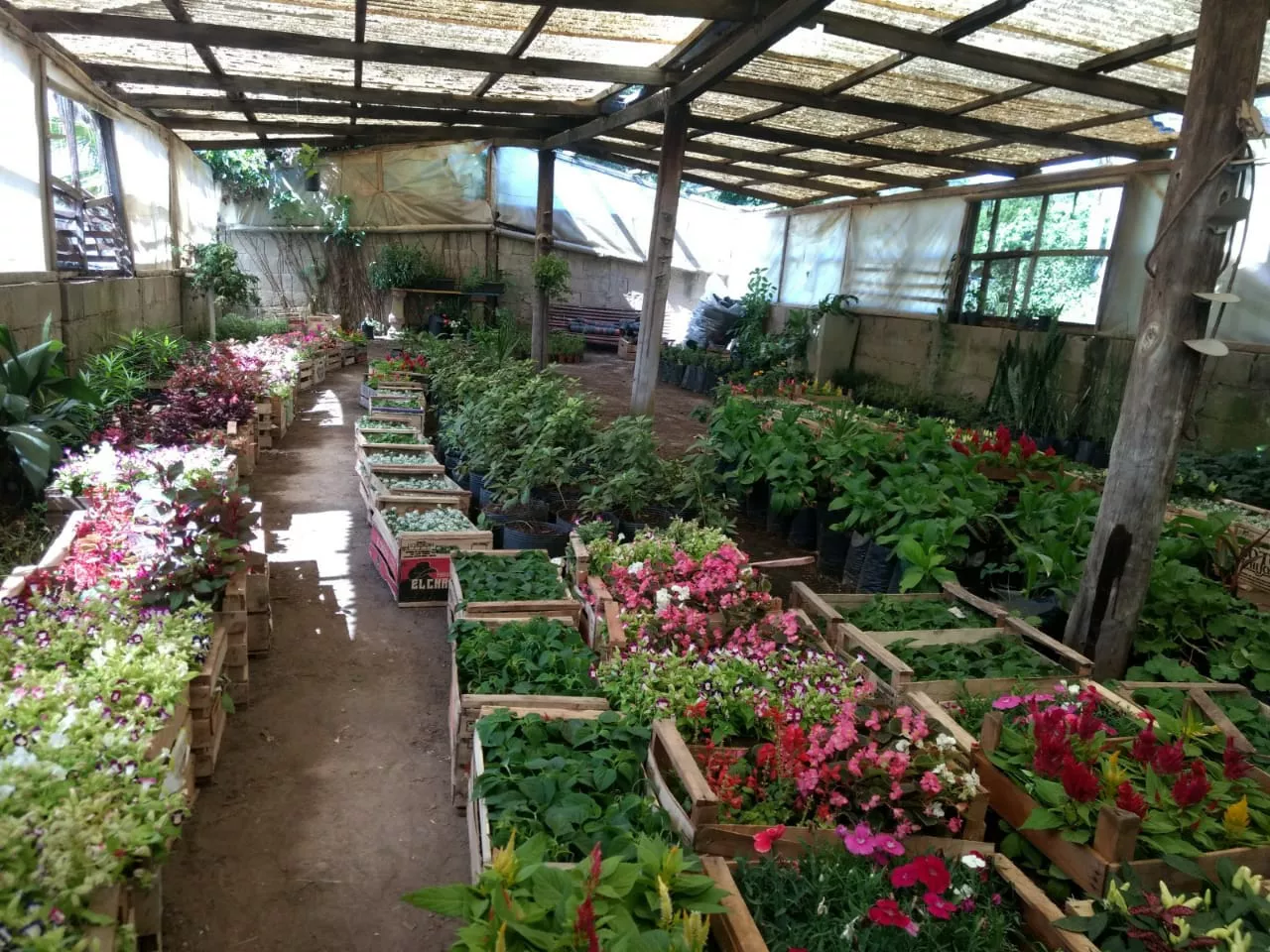 272963922_251672660489871_7136933300356397552_n