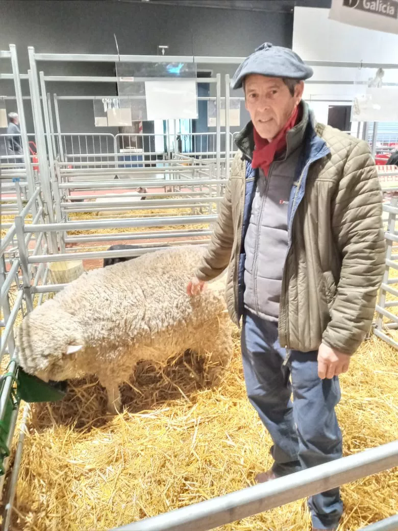 Campo_3