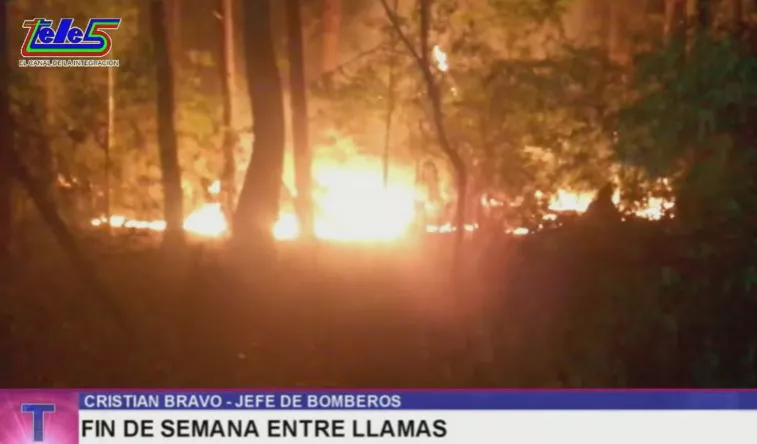 Cristian Bravo, incendios 3