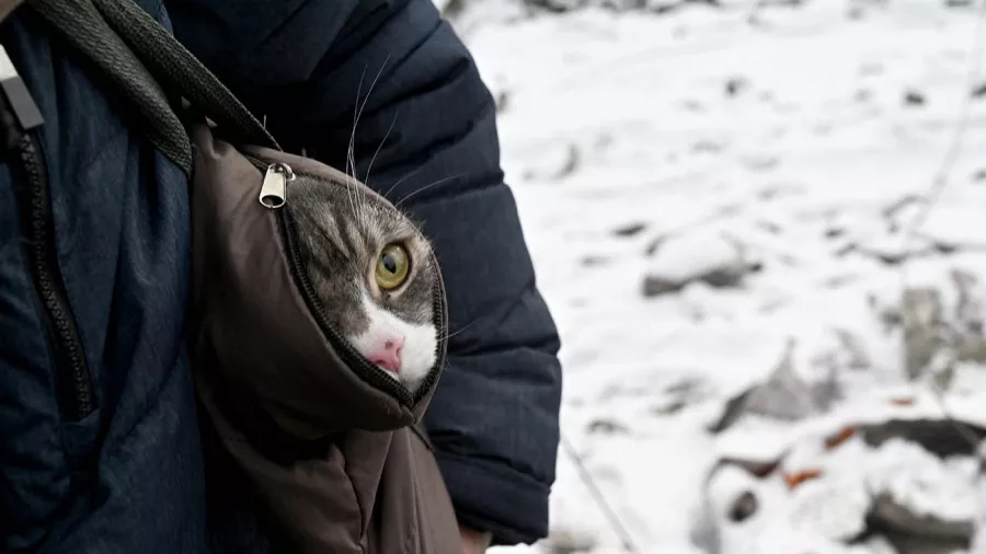 Corredores humanitarios_06