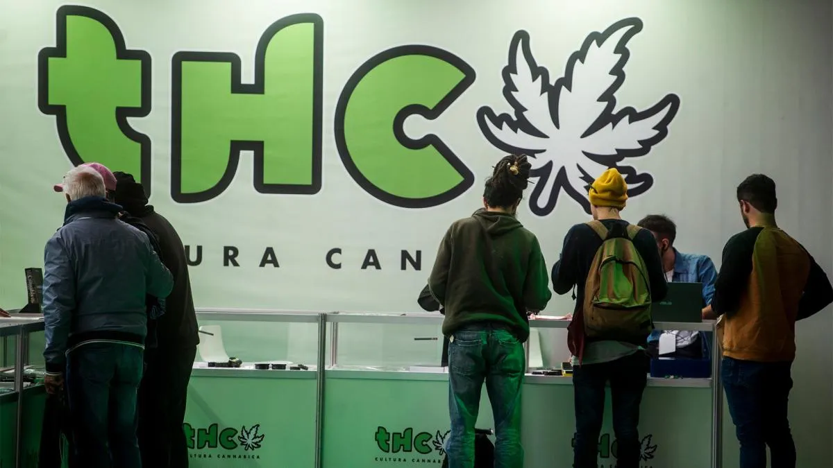 expo cannabis 2