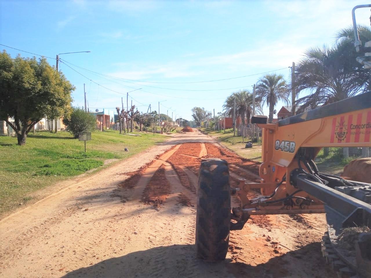 WhatsApp Image 2021-07-22 at 12.25.31