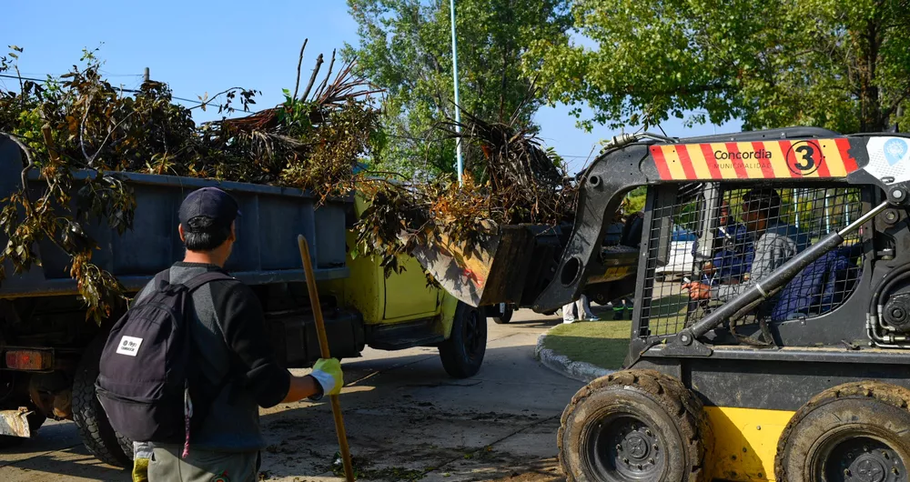 LIMPIEZA - MICROBASURALES (2)