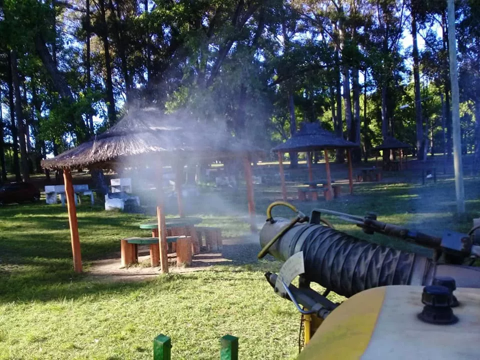 Fumigación_03