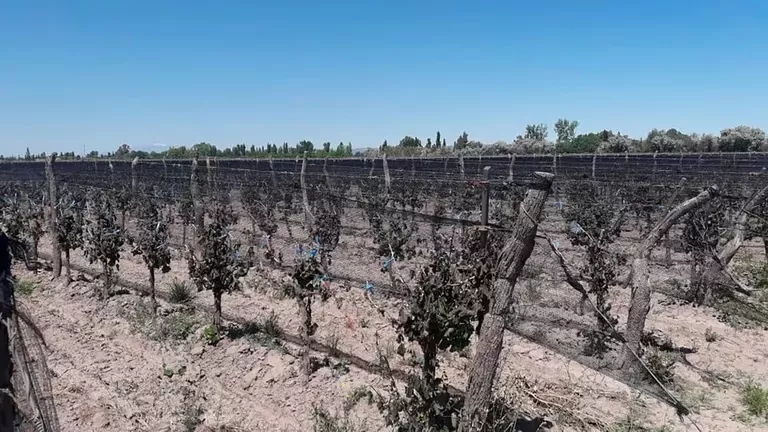 Sequía_1