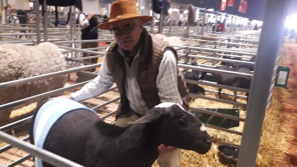 Campo 4