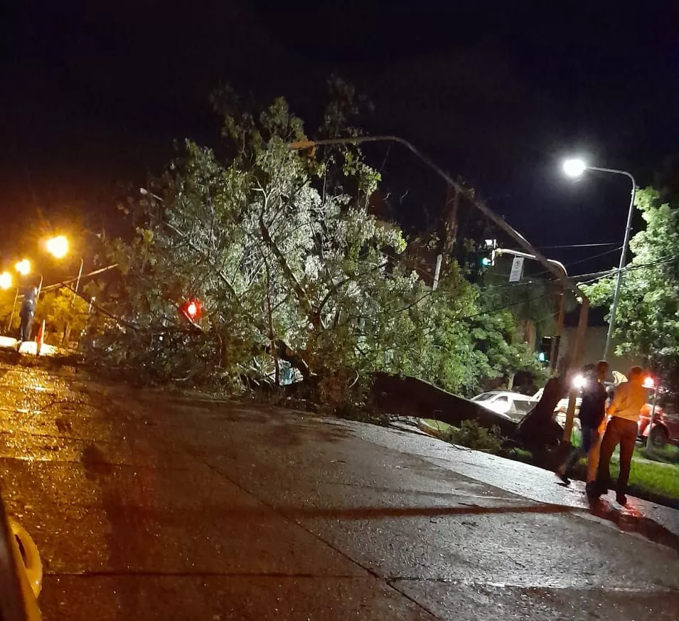 IMG-20220323-WA011312