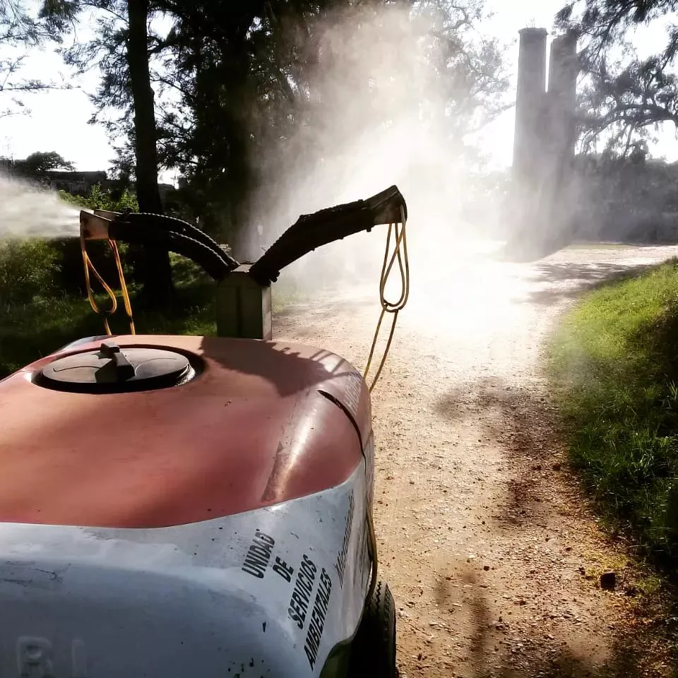 273574807_253249536983833_7216651873109815738_n