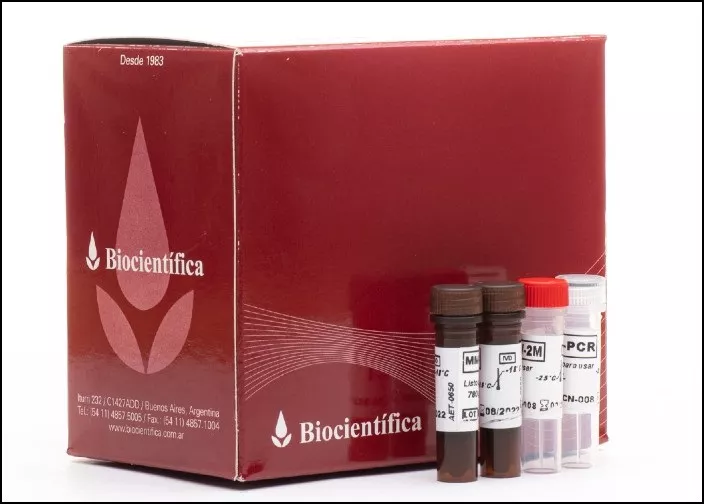 Dengue2