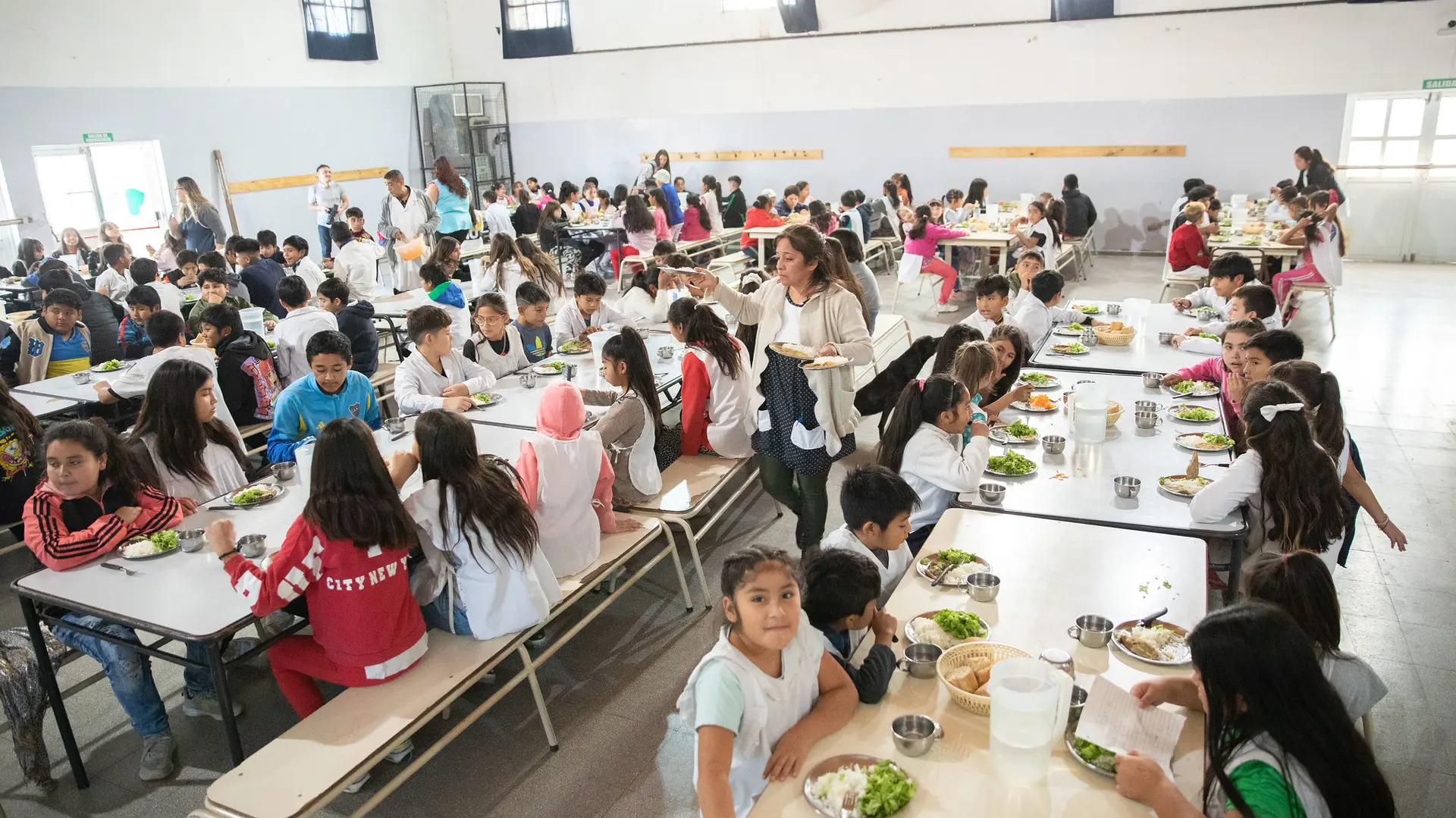 Amparo colectivo por el programa alimentario escolar: se convoca a quienes puedan estar alcanzados