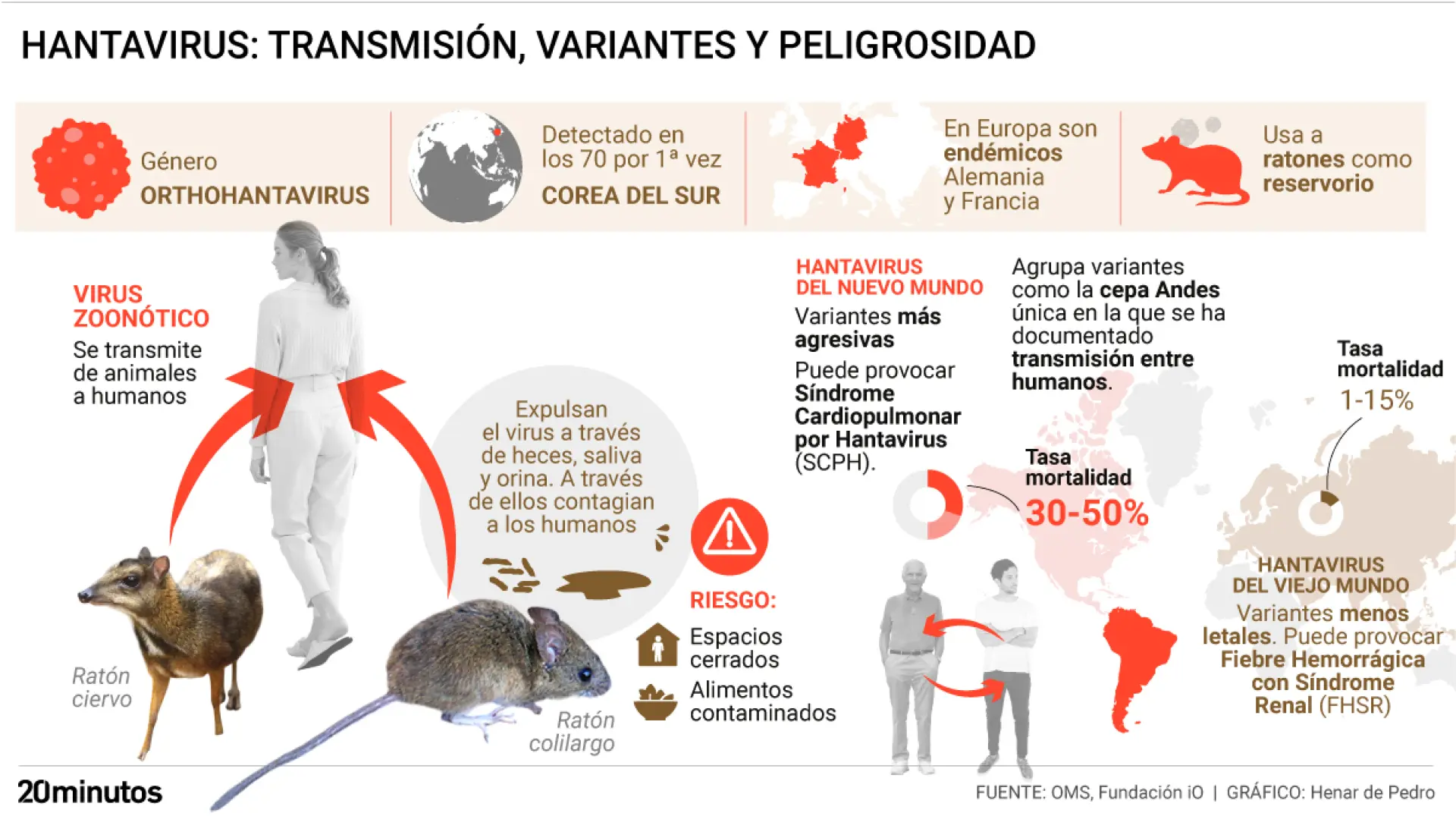 Un primer análisis genético del hantavirus del crucero confirma que es de la variante Andes y descarta mutaciones