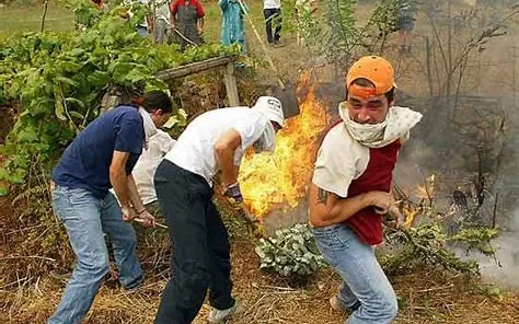 apagando con arbustos