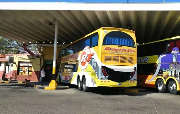 Colectivos concordia