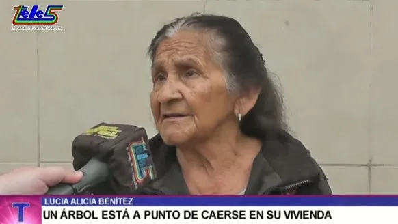 lucía alicia benítez