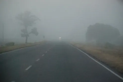 niebla