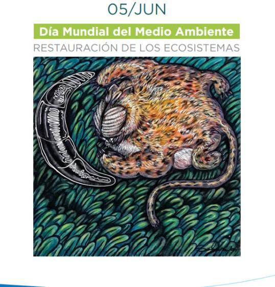 revista museos_01