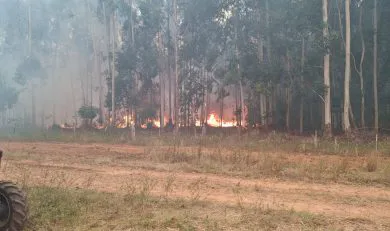 WhatsApp-Image-2025-02-11-at-18.19.46-390x231