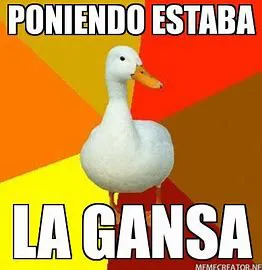 GANSA