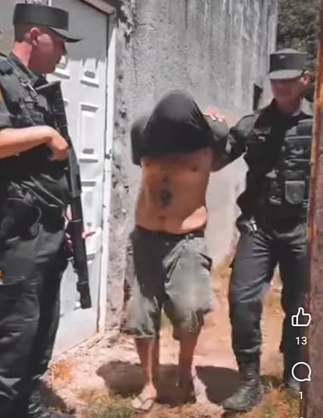 ladri