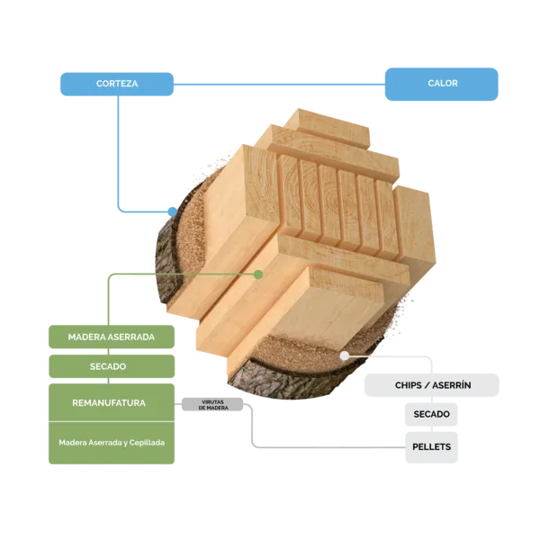 csm_ACON_TIMBER_CHART_AUG2023_2-02_grande_608c0b3e54