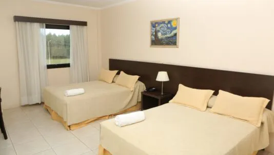 Standard-concordia-534x303-1