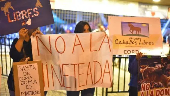 Basta de doma