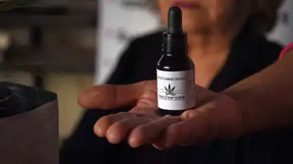 Roca-Perla-Peralta-Evolucion-Verde-Cannabis-Medicinal-3-Maripe