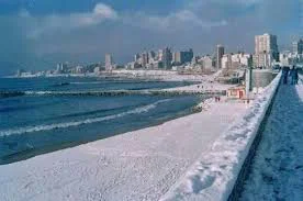 nieve