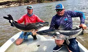 pesca