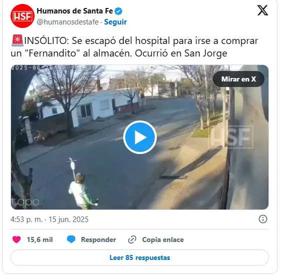 humanos