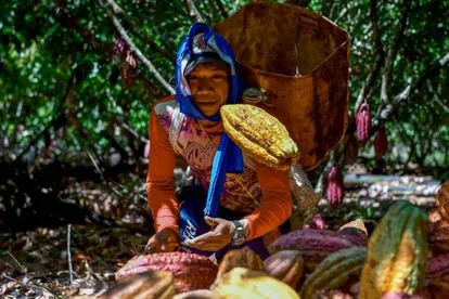 amazonia