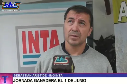ingeniero aristide