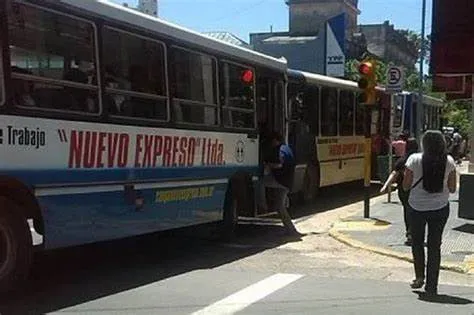 colectivo san luis