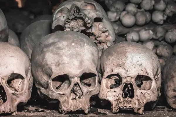 depositphotos_289654236-stock-photo-human-skulls-and-bones