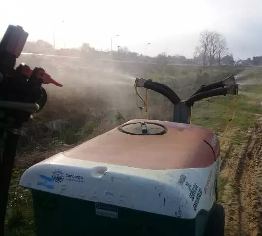 Fumigación (1)