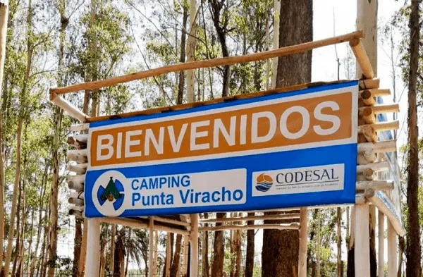 codesal 1