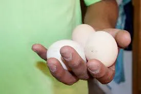 huevos