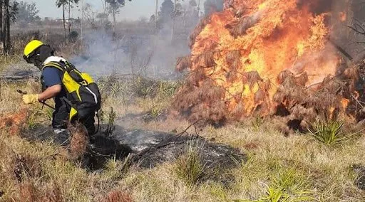Incendio ingreso a Concordia
