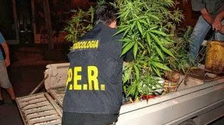 policias-consumo-drogas-cannabisjpg