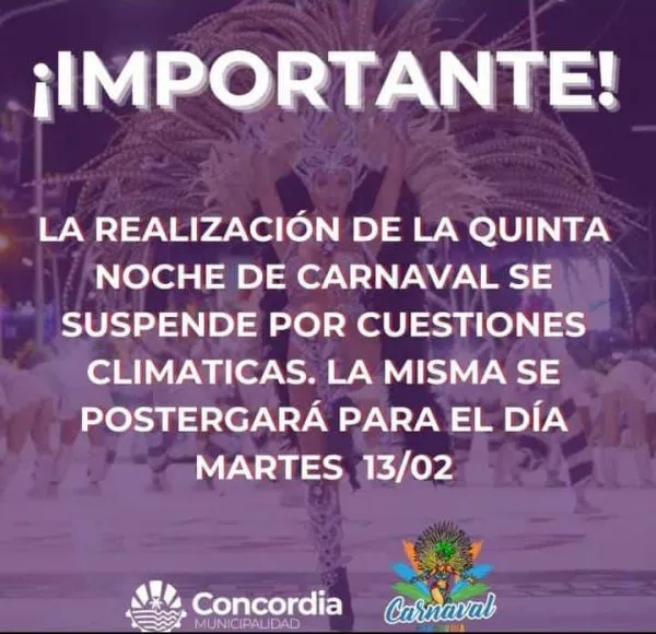 carnaval-oficial-flyer-suspende-600x580