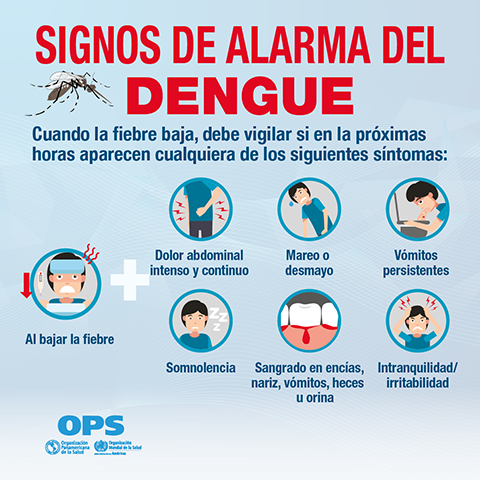2024-cde-postcards-dengue-signs-es-480x-th