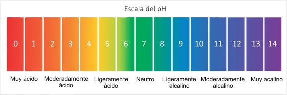 ph 1