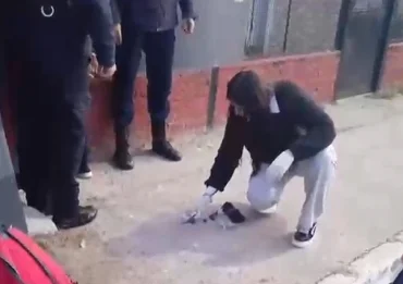 operativo