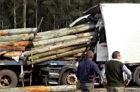 camion palero
