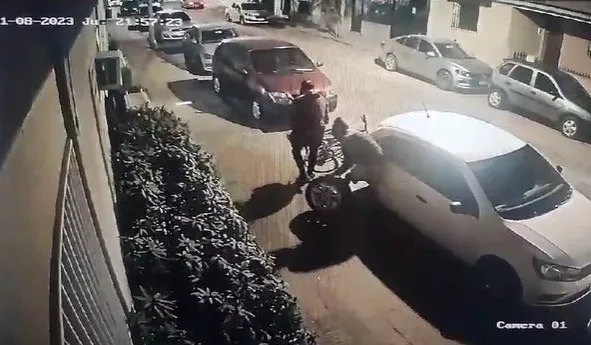 roda ruedas