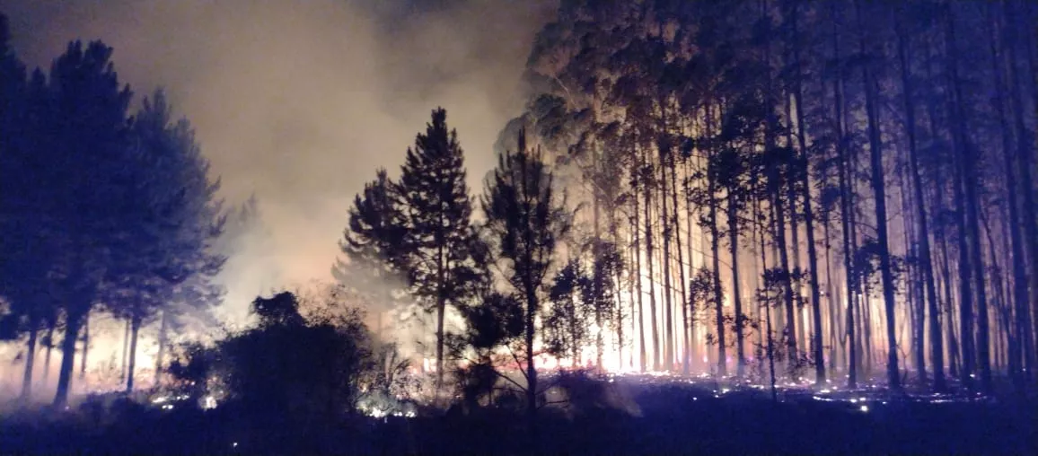 Incendio INTA (2)