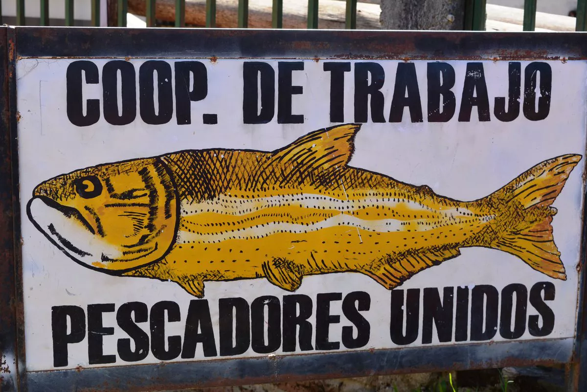 PESCADORES BENITO LEGERÉN