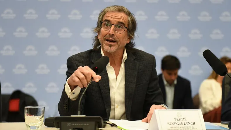 bertie-benegas-lynch-el-plenario-comisiones